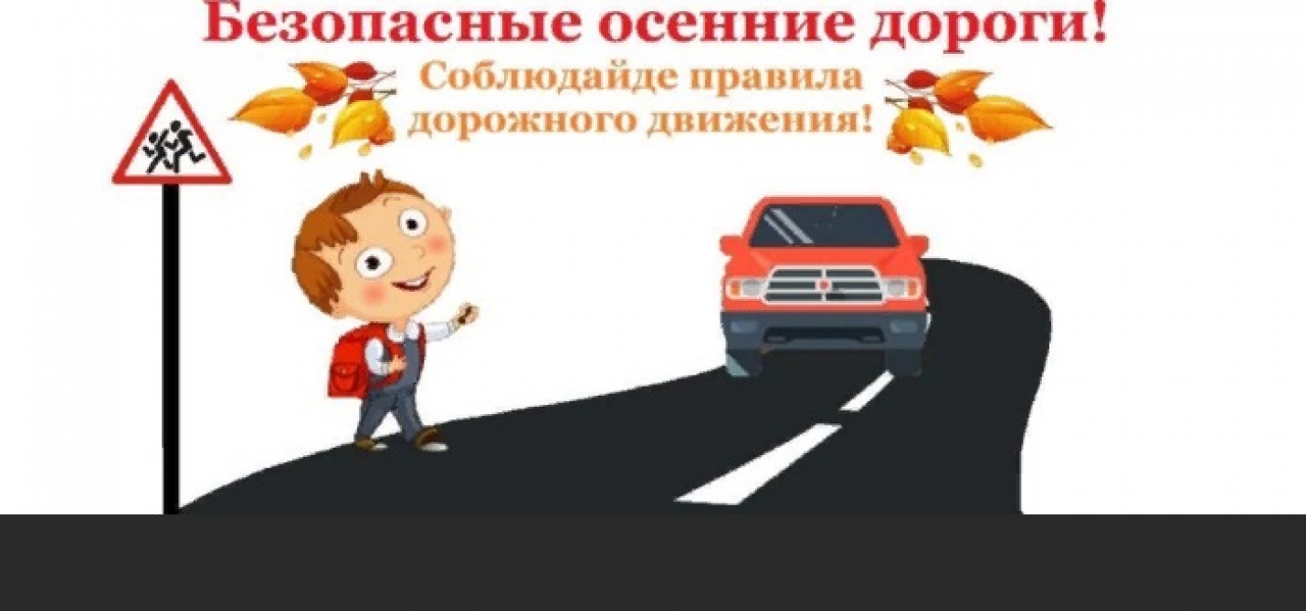 В городе Батайске проводится профилактическое мероприятие «Безопасные осенние дороги»